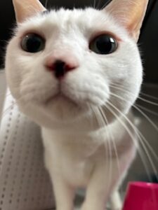 ★お泊まりブログ★