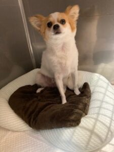 ★お泊まりブログ★