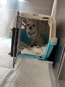 ★お泊まりブログ★