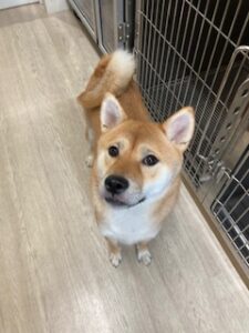 ★お泊まりブログ★