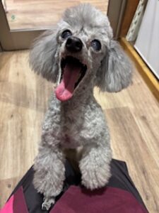 ★お泊まりブログ★