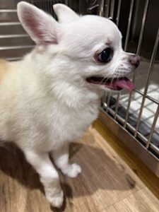 ★お泊まりブログ★