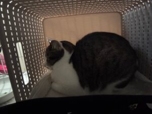 ★お泊まりブログ★