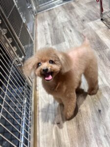 ★お泊まりブログ★