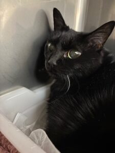 ★お泊まりブログ★