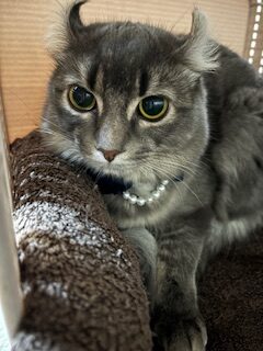 ★お泊まりブログ★