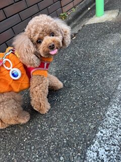 ★お泊まりブログ★