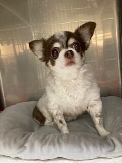 ★お泊まりブログ★