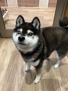 ★お泊まりブログ★