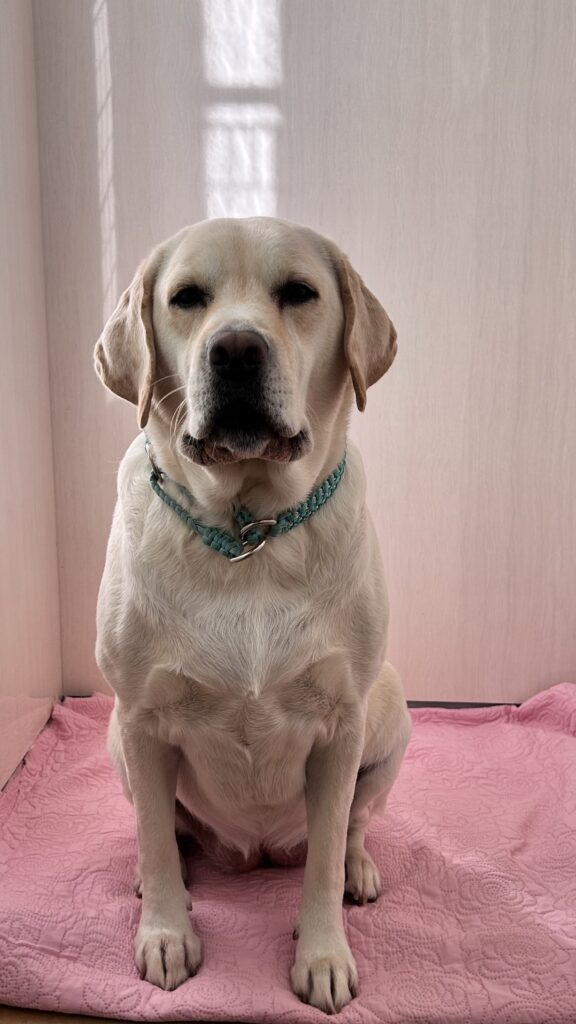 ★お泊まりブログ★