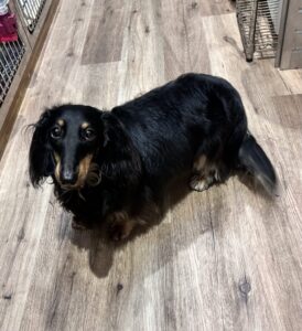 ★お泊まりブログ★