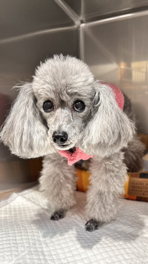 ★お泊まりブログ★