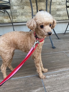 ★お泊まりブログ★