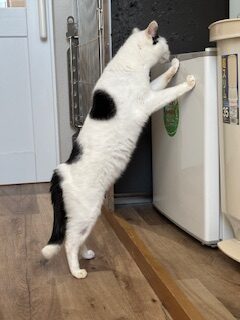 ★お泊まりブログ★