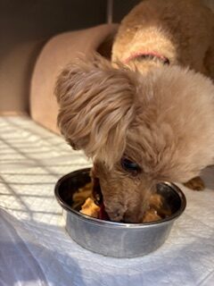 ★お泊まりブログ★