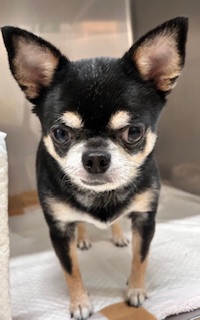 ★お泊まりブログ★