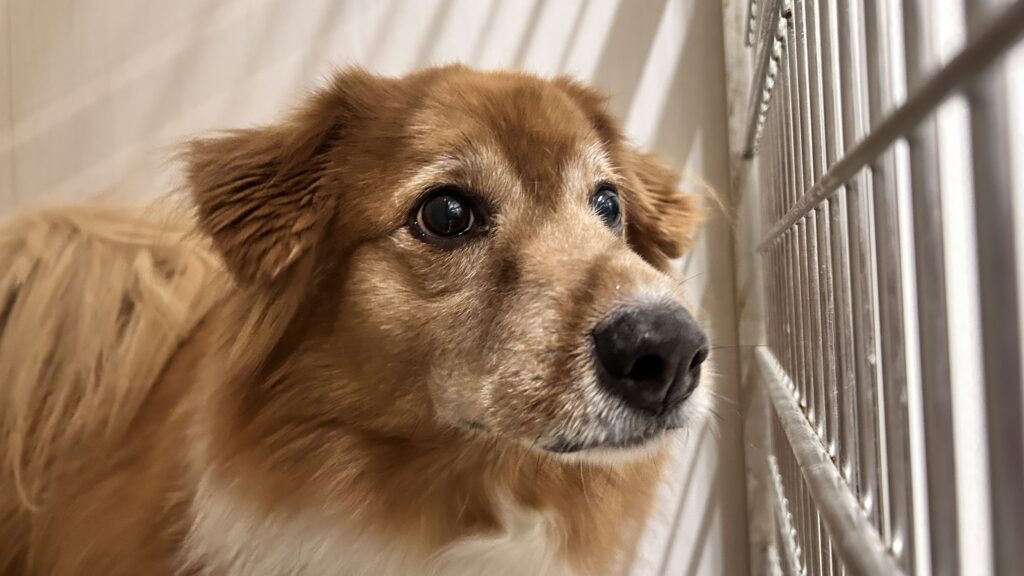 ★お泊まりブログ★