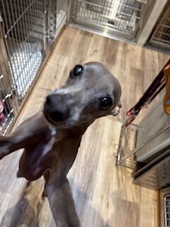 ★お泊まりブログ★