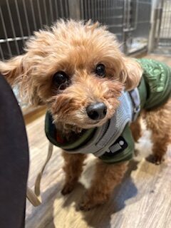 ★お泊まりブログ★