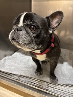 ★お泊まりブログ★