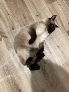 ★お泊まりブログ★