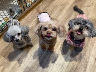 ★お泊まりブログ★