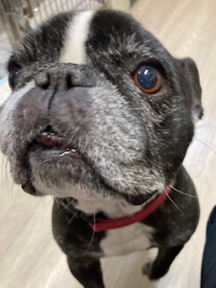 ★お泊まりブログ★