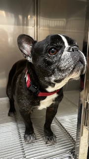 ★お泊まりブログ★