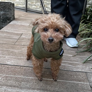 ★お泊まりブログ★