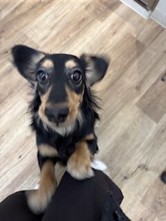 ★お泊まりブログ★