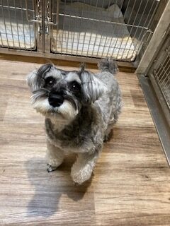 ★お泊まりブログ★