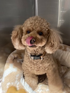 ★お泊まりブログ★