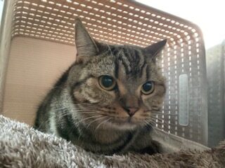 ★お泊まりブログ★