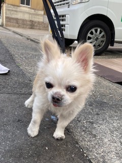 ★お泊まりブログ★