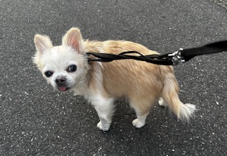 ★お泊まりブログ★