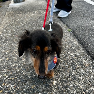 ★お泊まりブログ★