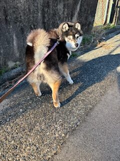 ★お泊まりブログ★