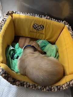 ★お泊まりブログ★