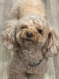 ★お泊まりブログ★