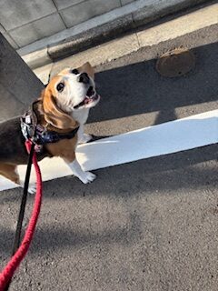 ★お泊まりブログ★