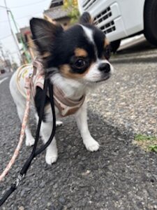 ★お泊まりブログ★