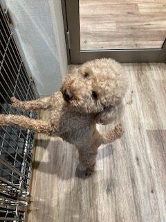 ★お泊まりブログ★