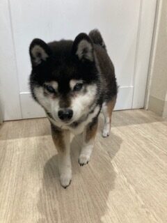 ★お泊まりブログ★