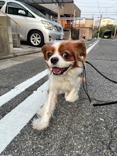 ★お泊まりブログ★