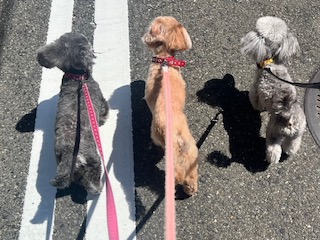 ★お泊まりブログ★