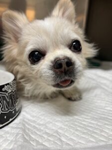 ★お泊まりブログ★