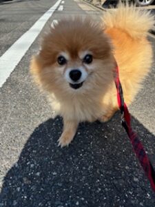 ★お泊まりブログ★