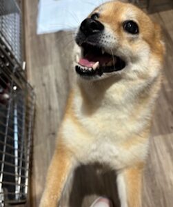 ★お泊まりブログ★