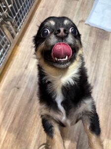 ★お泊まりブログ★