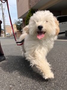 ★お泊まりブログ★